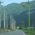 IMG_3412.JPG