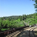 IMG_4531.JPG
