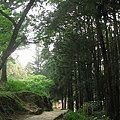 IMG_4606.JPG