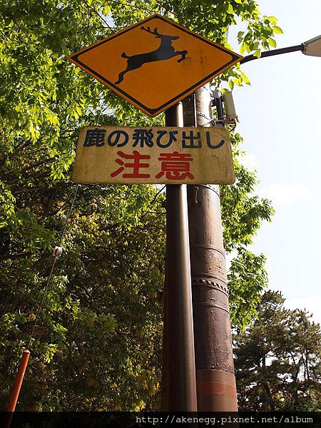 奈16
