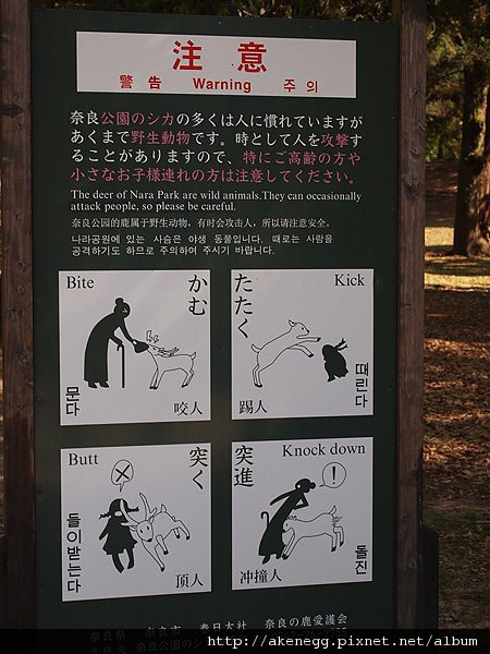 奈30