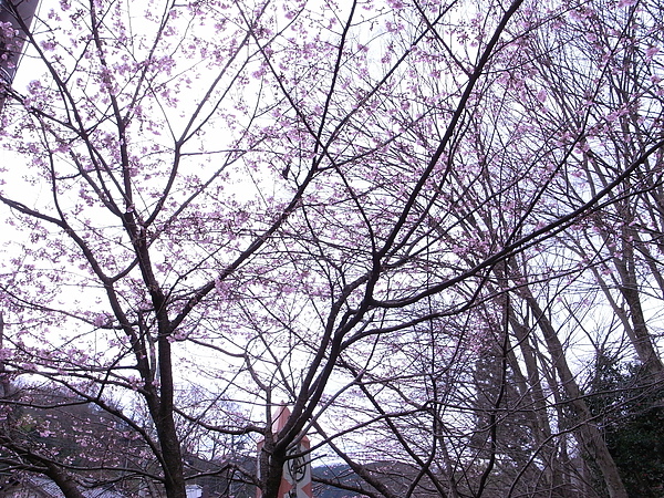 R0014630.JPG R0014630.JPG