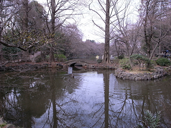 R0014506.JPG R0014506.JPG