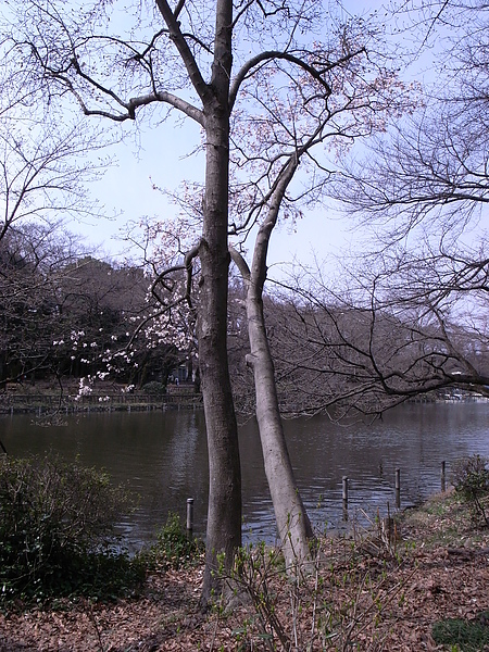 R0014511.JPG R0014511.JPG