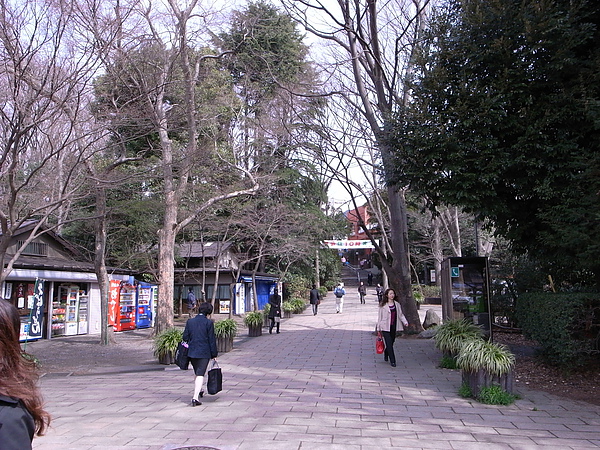 R0014532.JPG R0014532.JPG