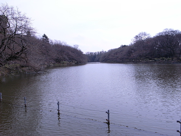 R0014533.JPG R0014533.JPG
