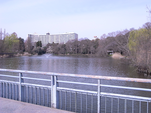 R0014534.JPG R0014534.JPG