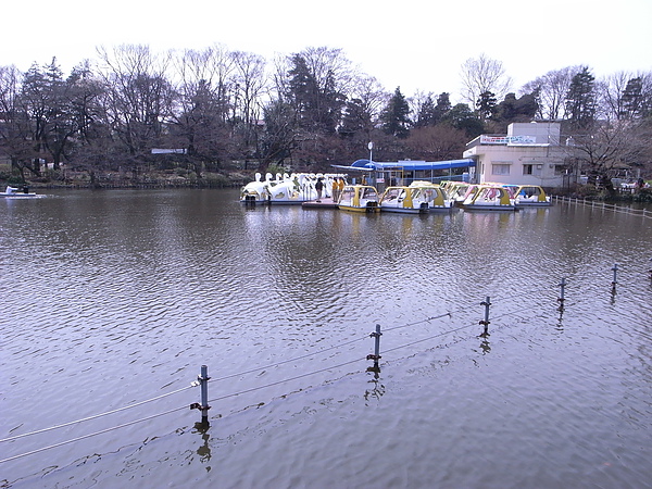 R0014535.JPG R0014535.JPG