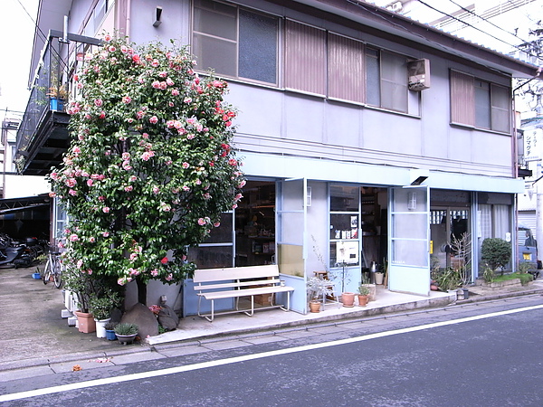 R0014207.JPG R0014207.JPG
