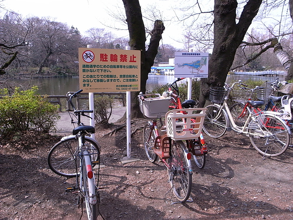 R0014516.JPG R0014516.JPG