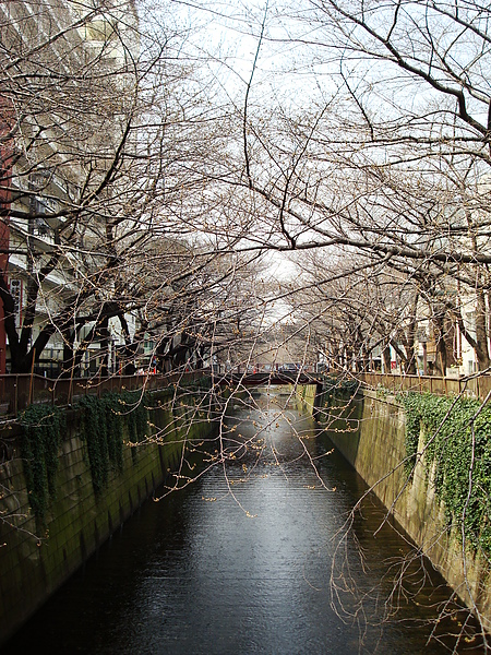 DSC03736.JPG DSC03736.JPG