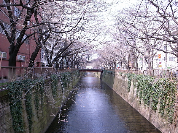 R0014234.JPG R0014234.JPG