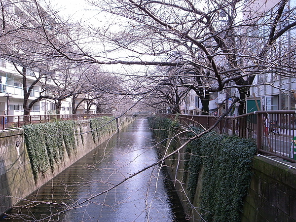 R0014233.JPG R0014233.JPG