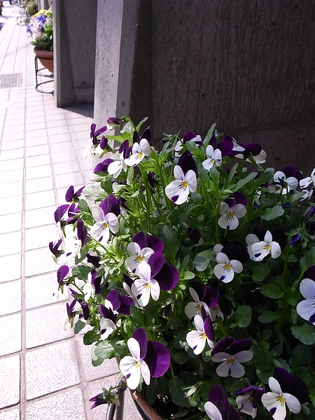 R0014229.JPG R0014229.JPG