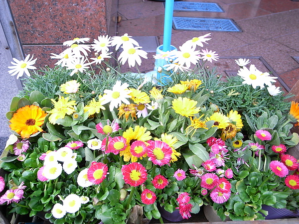 R0014194.JPG R0014194.JPG