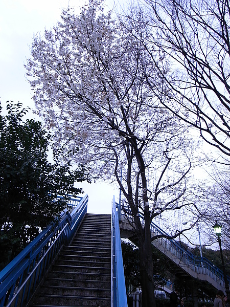 R0014107.JPG R0014107.JPG
