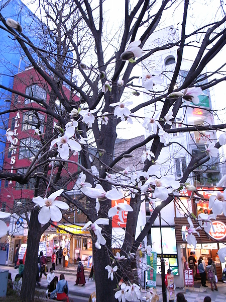 R0014109.JPG R0014109.JPG