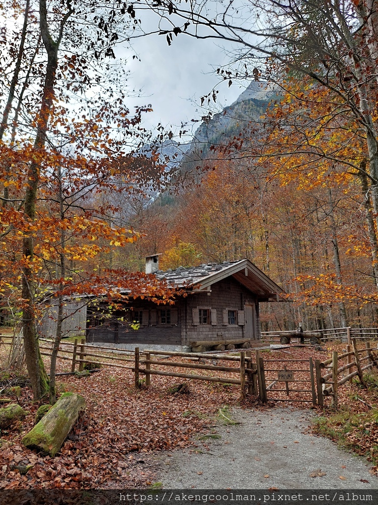 20221026_141444 JPG屋.jpg