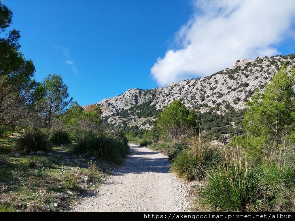 西班牙馬略卡島Mallorca, 隱藏版的世界級旅遊勝地! 西班牙馬略卡島Mallorca, 隱藏版的世界級旅遊勝地!