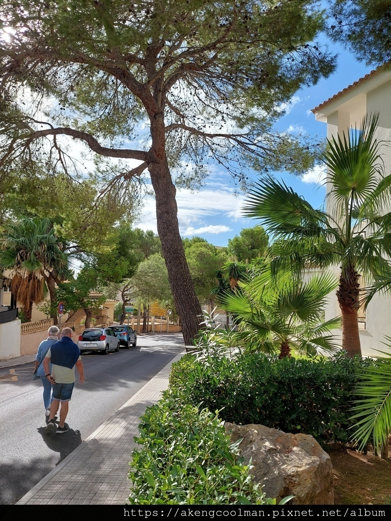 西班牙馬略卡島Mallorca, 隱藏版的世界級旅遊勝地! 西班牙馬略卡島Mallorca, 隱藏版的世界級旅遊勝地!