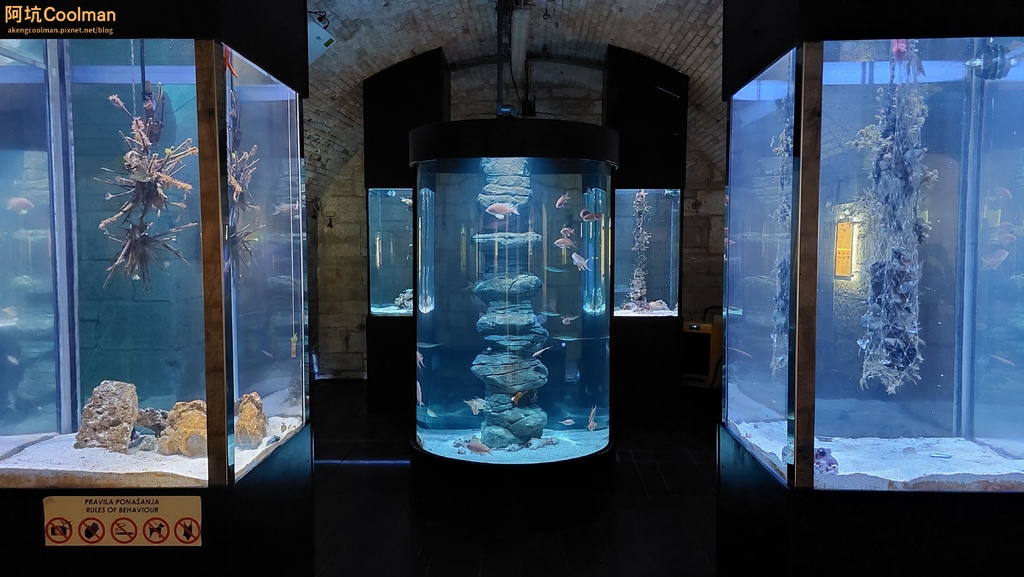 普拉 水族館.jpg