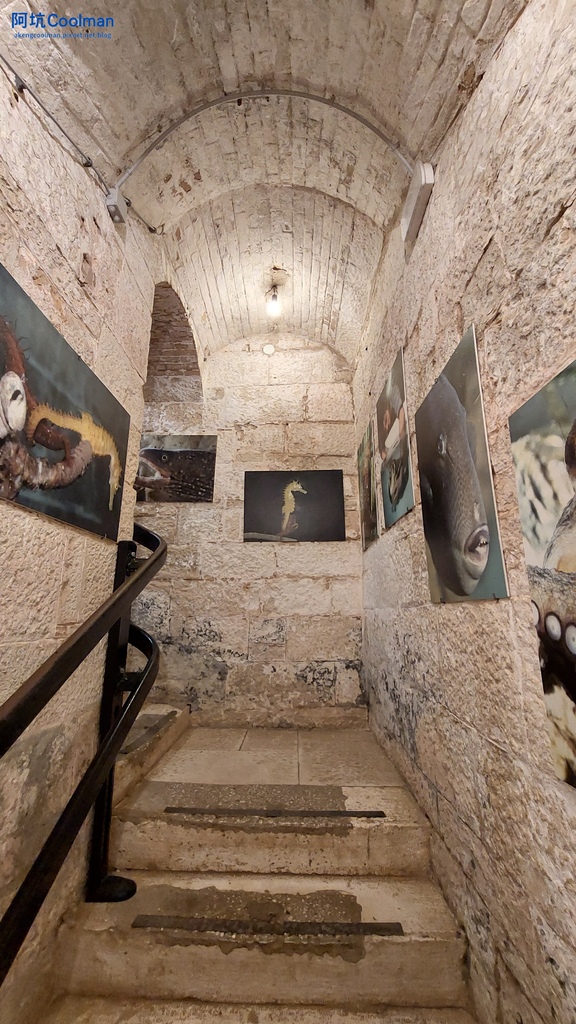 普拉 水族館 8.jpg