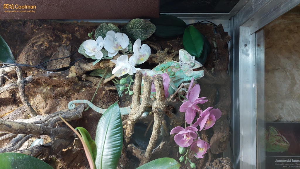 普拉 水族館 7.jpg