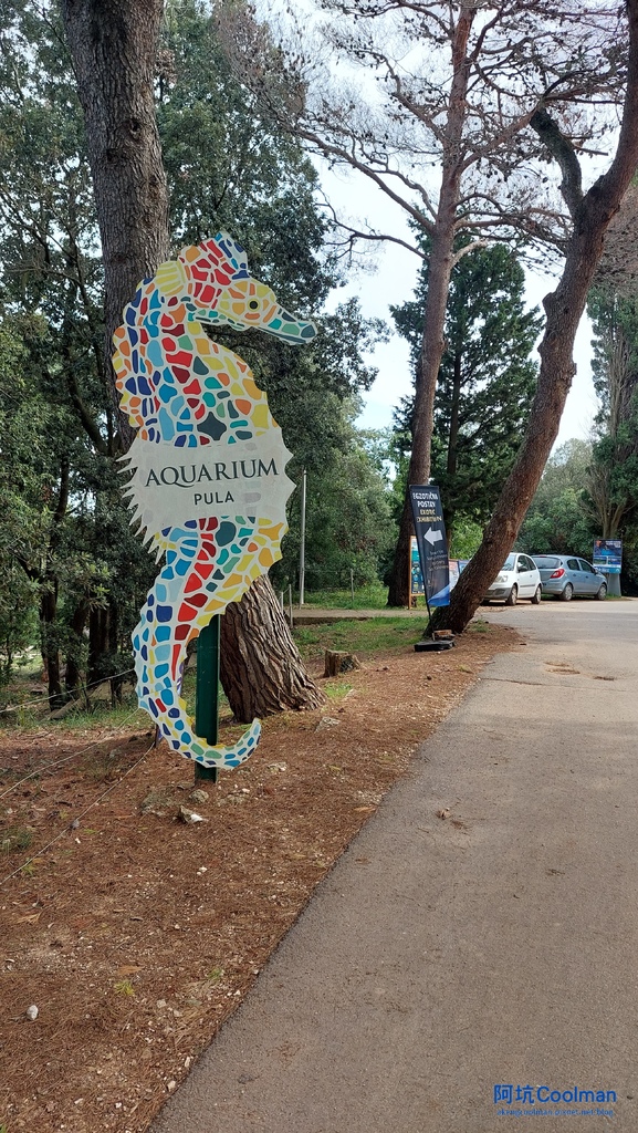 普拉 水族館 12.jpg