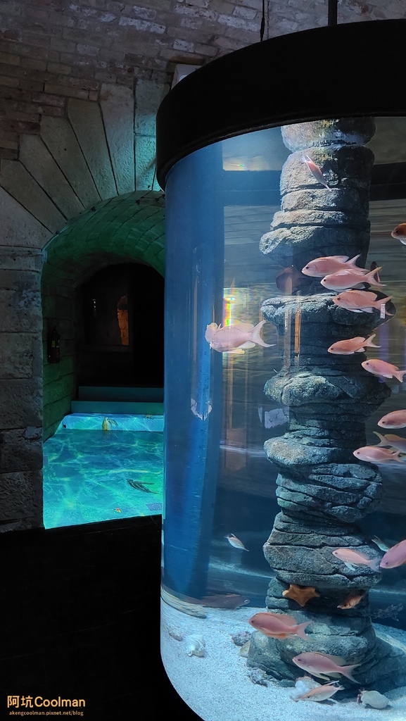 普拉 水族館 2.jpg