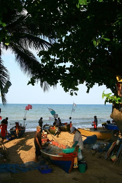 IMG_4143 IMG_4143