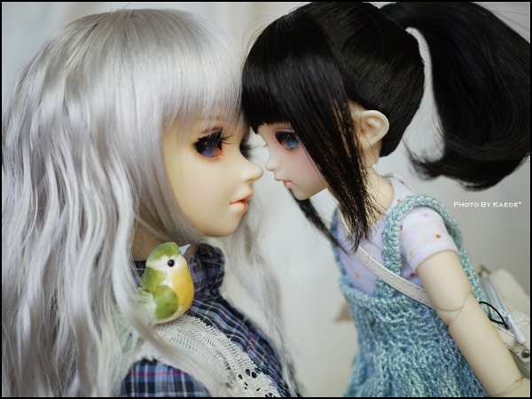 MIX (13)