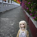 P1000058.JPG