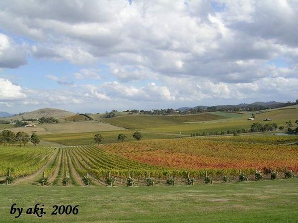 winery on Mt.Dandenong