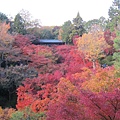 東福寺1.JPG