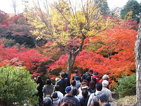 東福寺3.JPG