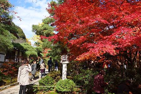 嵐山常寂光寺4.JPG