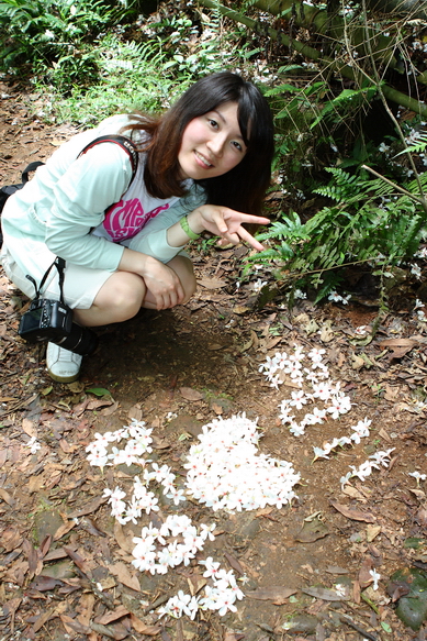 四月雪小徑+夢幻桐花步道_038.JPG