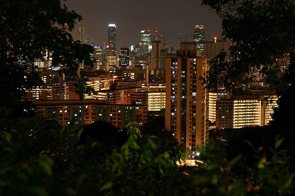 花柏山Mount Caber 夜景