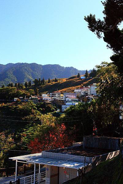 山道傳說之開車開到楓了_025.JPG