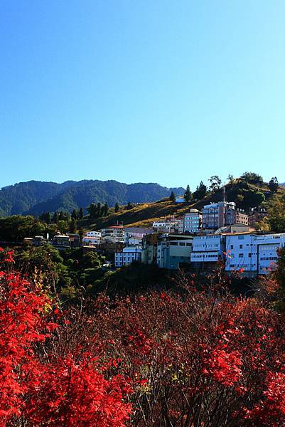 山道傳說之開車開到楓了_036.JPG