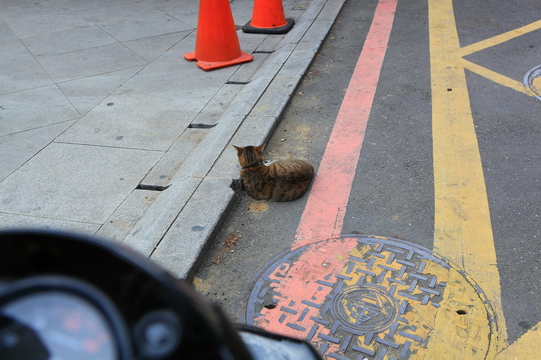 2012年環島DAY1_066