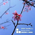 2009陽明山花季36.jpg