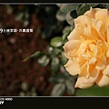 2009士林官邸-共襄盛菊_029.jpg