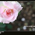 2009士林官邸-共襄盛菊_038.jpg