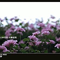 2009士林官邸-共襄盛菊_061.jpg