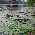 台南公園2013