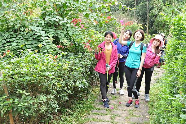 DSC_0433.JPG DSC_0433.JPG