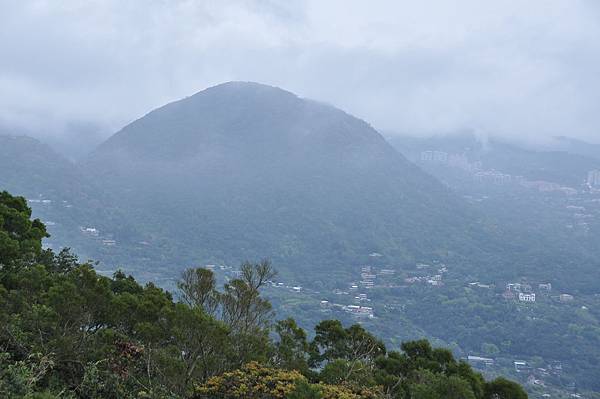 DSC_0516.JPG DSC_0516.JPG