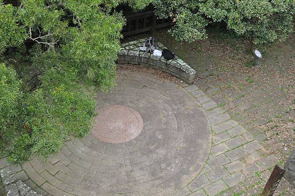 DSC_0517.JPG DSC_0517.JPG