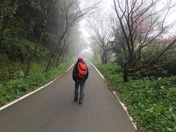 Shirley_1.jpg Shirley_1.jpg